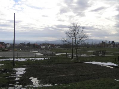 Landskap mellan Virovitica och Našice.